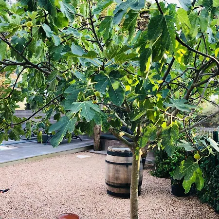 Habitación en casa particular A Louer Sur Bonifacio (Corsica)